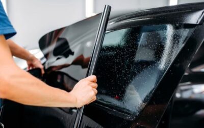 ¿Qué es el Polarizado 3M?